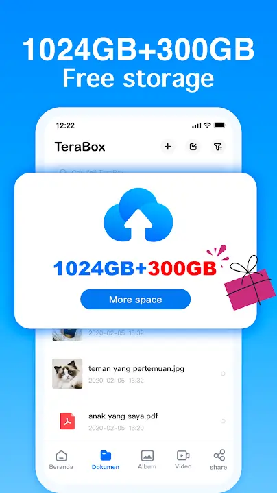 Terabox Mod Apk